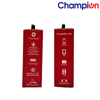 Champion 2.4 Amp Charger Single USB Port (Black)