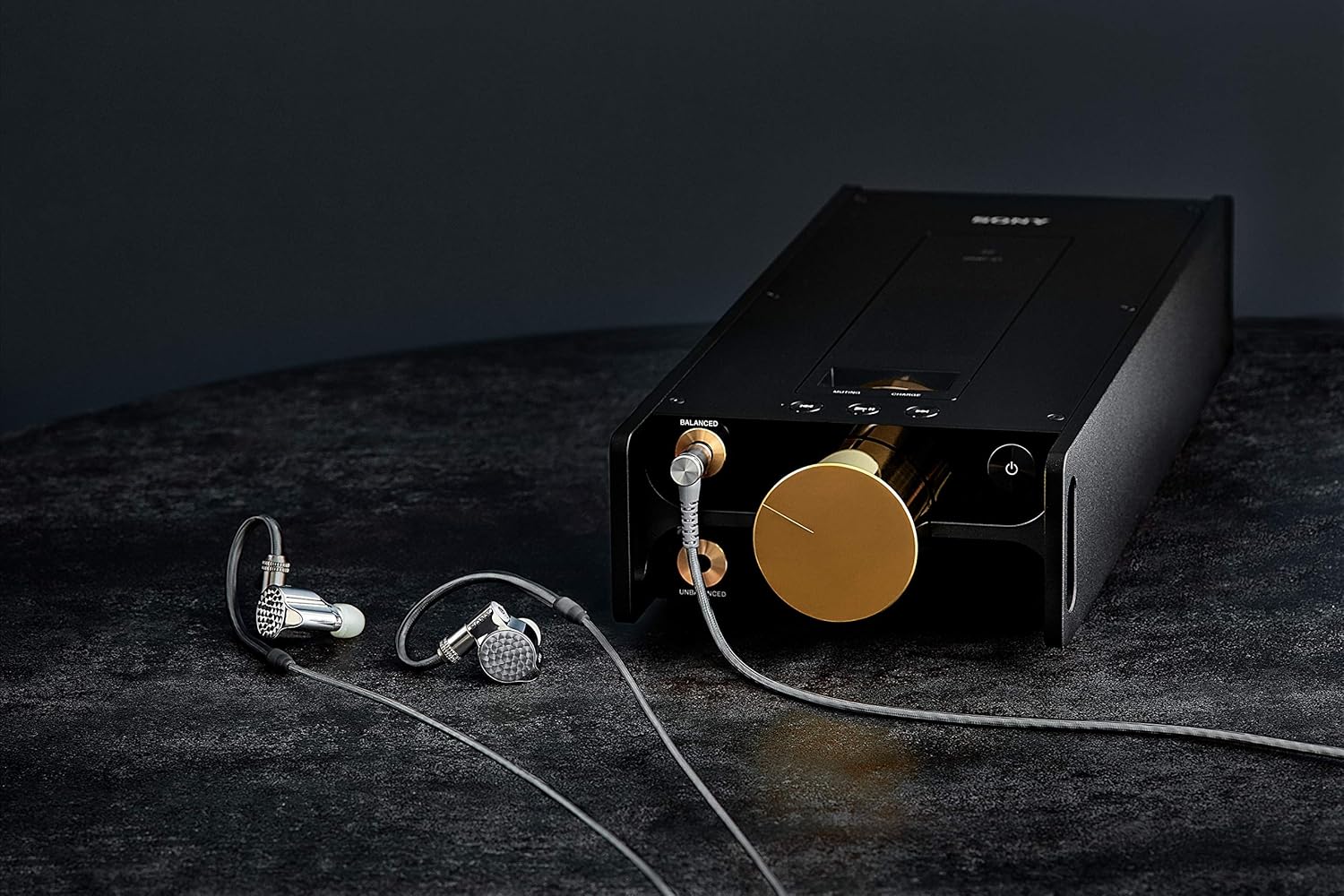 Sony IER-Z1R Signature Series In-Ear Headphones – Premium Audio
